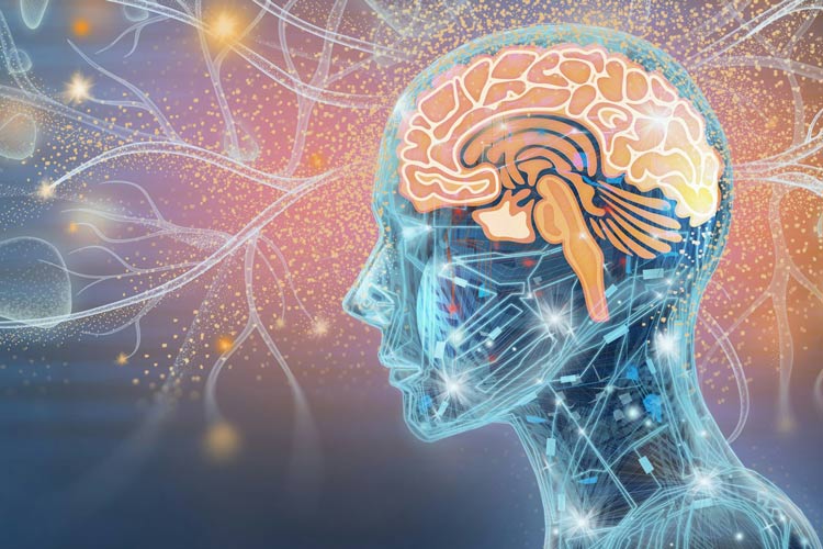 زندگی پس از مرگ فیزیکی؟ بررسی علمی ایده بارگذاری ذهن در کامپیوتر