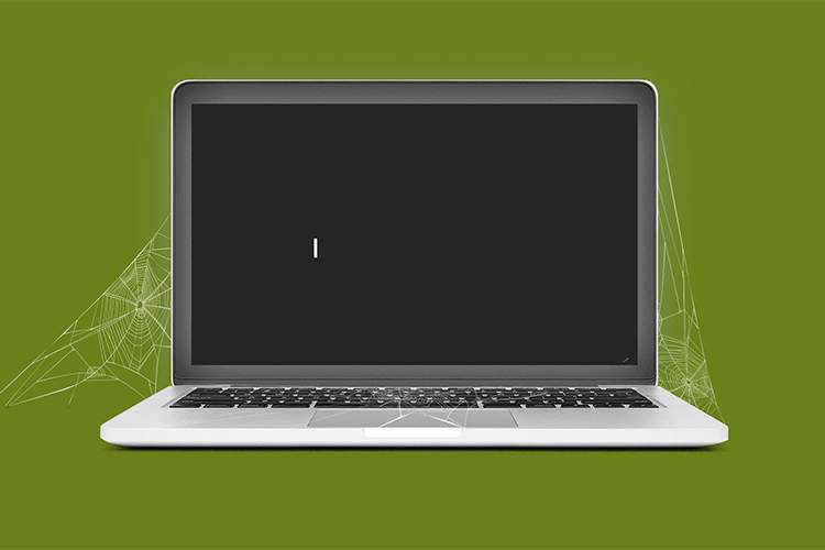 هوش مصنوعی در حال نابودی وب سنتی است