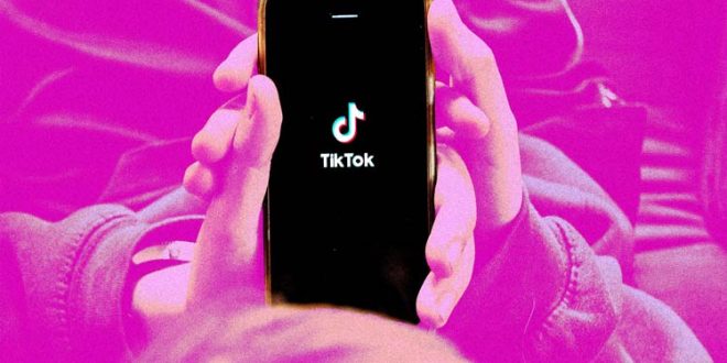 آیا ایلان ماسک یا لری الیسون خریدار بعدی تیک‌تاک خواهند بود؟