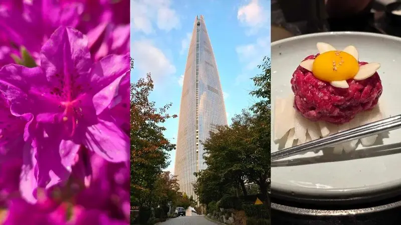 شکست غیرمنتظره گلکسی S25 اولترا در برابر وانپلاس ۱۵