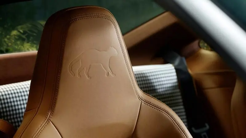 پورشه ۹۱۱ اوسلات؛ شاهکاری در پوست پلنگ آمازون