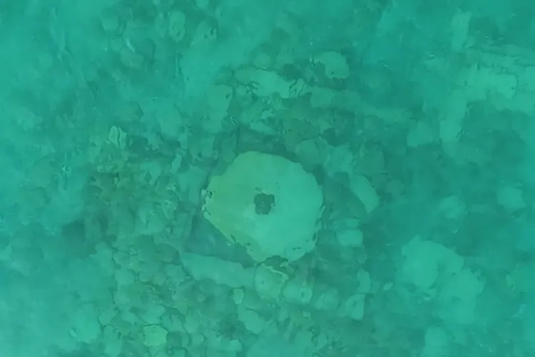 شهر گمشده جاده ابریشم از زیر آب بیرون آمد!