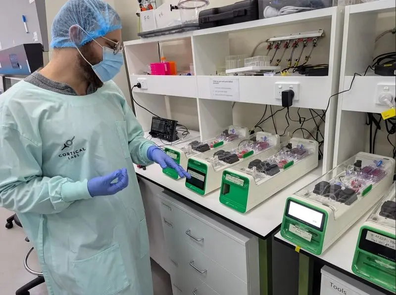 آینده در راه است؛ کامپیوترهای ساختهشده از مغز انسان!