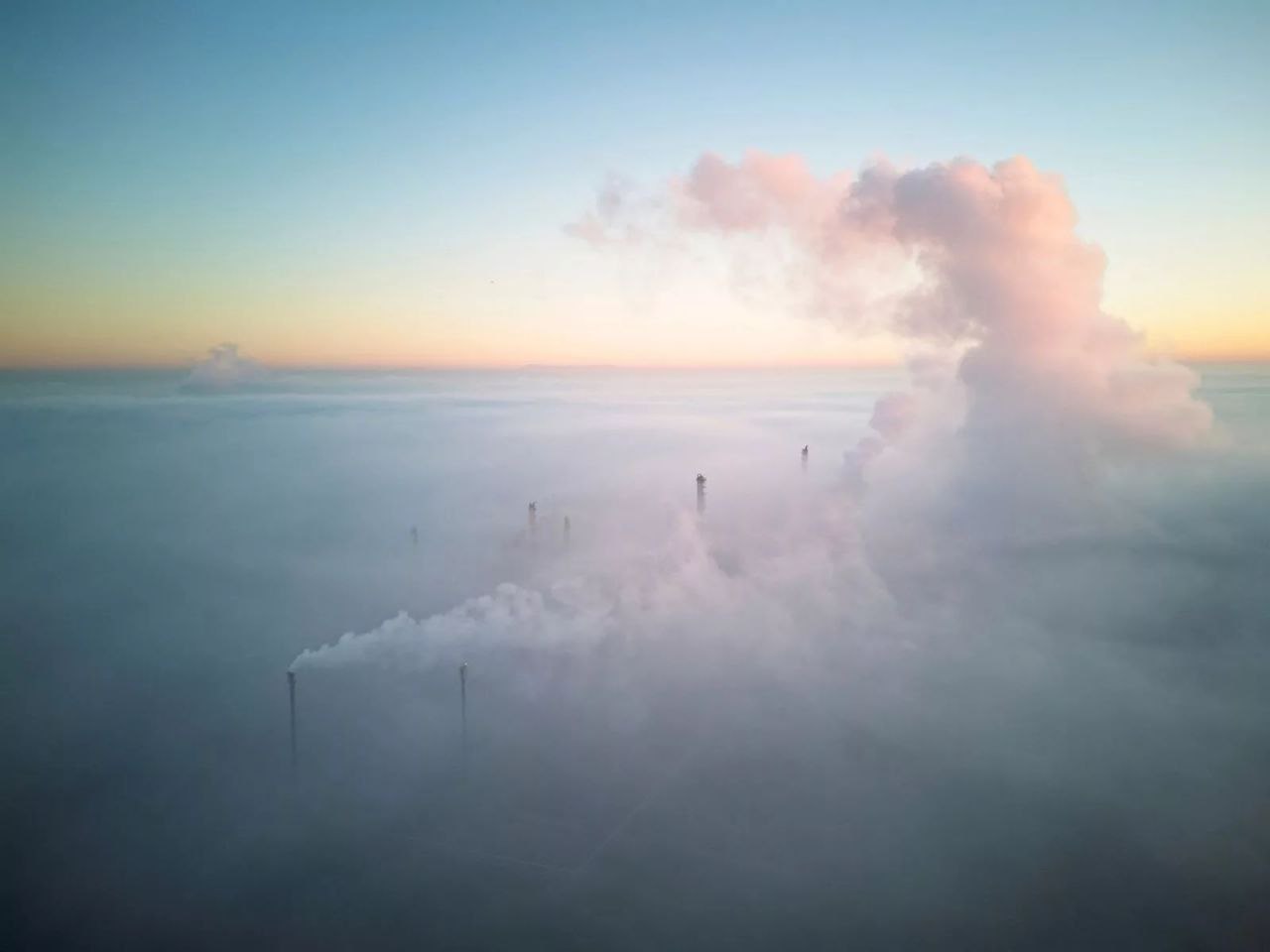 لحظه نفسگیر نجات نهنگ گوژپشت برنده جایزه شد