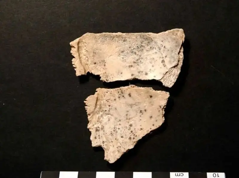 ۱۸ هزار سال پیش در این غار «مغز انسان» می خوردند!