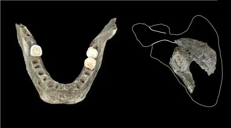 ۱۸ هزار سال پیش در این غار «مغز انسان» می خوردند!